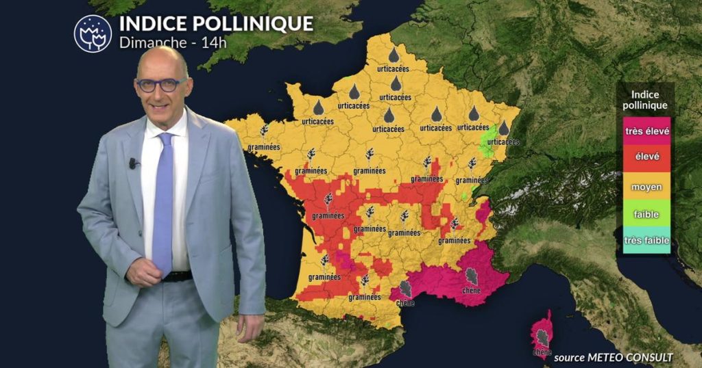 Pollens : la chaleur précoce augmente le risque d’allergies en France ce dimanche.