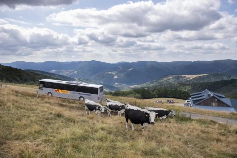 La Navette des Crêtes du Massif des Vosges reprend son service saisonnier pour les randonneurs.