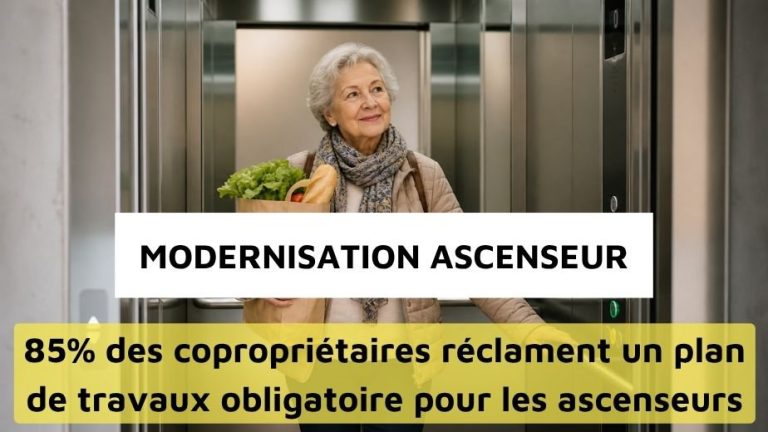 Modernisation des ascenseurs en France : état des lieux et perspectives d&rsquo;action.