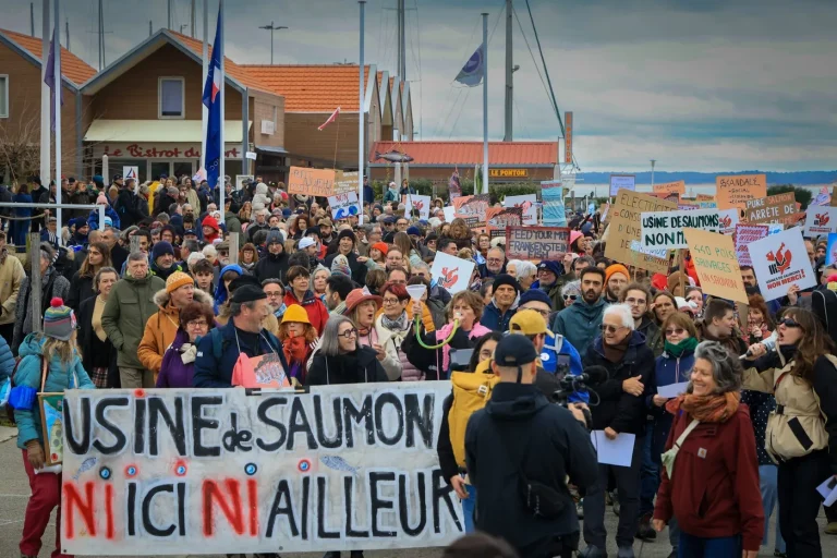 Saumon de l&rsquo;estuaire de la Gironde : tensions entre pêcheurs et environnementalistes.