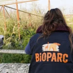 Le Bioparc de Doué-la-Fontaine reconnu comme un modèle de zoo éthique mondialement.