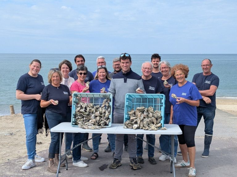 Fête des fruits de mer dans la Manche : un événement incontournable depuis 1978.