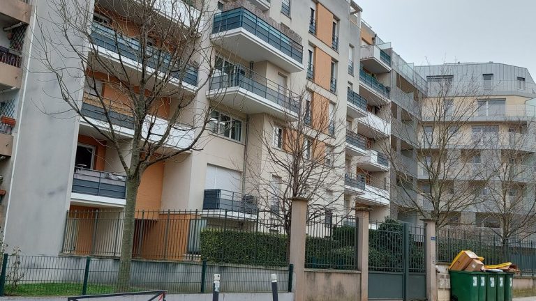 Matricide dans les Hauts-de-Seine : un procès révèle une mère ambivalente.
