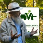 Île-de-France : Patrice Bersac présente l&rsquo;IGP des vignes en treille dans un nouveau podcast.