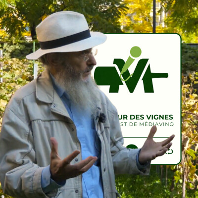 Île-de-France : Patrice Bersac présente l&rsquo;IGP des vignes en treille dans un nouveau podcast.