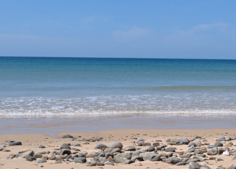 Qualité des eaux : une seule plage « recommandée » pour la baignade dans le Centre-Manche