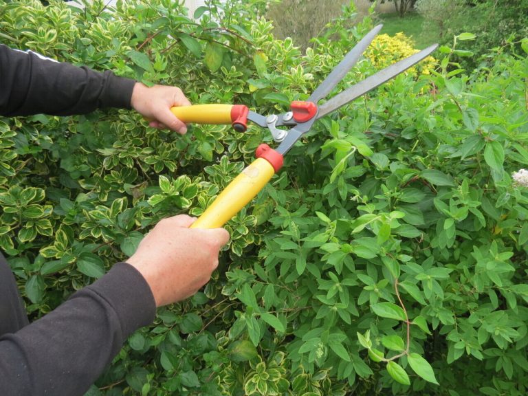 Un homme condamné après avoir jeté un taille-haie sur son ex-compagne en Loire-Atlantique