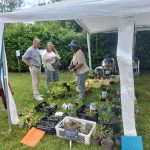 Eure : 18e édition des Papotages au potager avec ateliers de jardinage et conférences