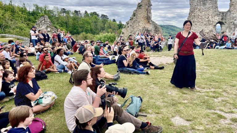 Scandale à Château-Gaillard : une association dénonce des spectacles de rapaces.