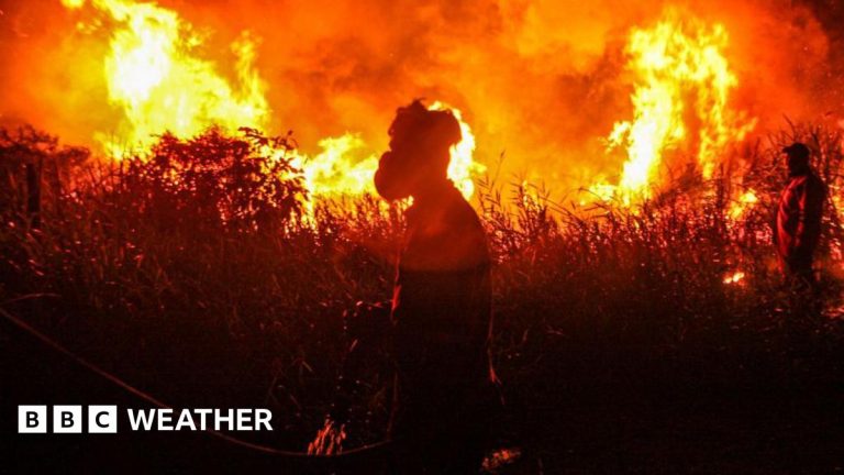 Record mondial de températures possible avec la montée d’un ‘super El Niño’