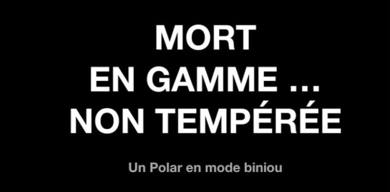 Sonerion confronté à une crise : décès dans le secteur des jeux vidéo, selon Georges Epine.
