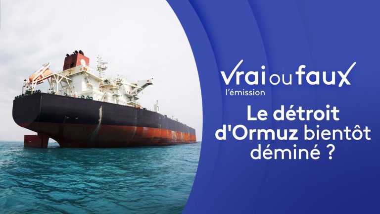 Le détroit d’Ormuz bientôt déminé ?