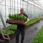 Il décongèle tout doucement : À l&rsquo;approche du 1er mai, comment les professionnels se préparent à la vente du muguet ?