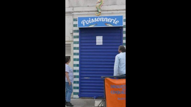 Visite de la plus petite poissonnerie de Marseille : un commerce de proximité en déclin.