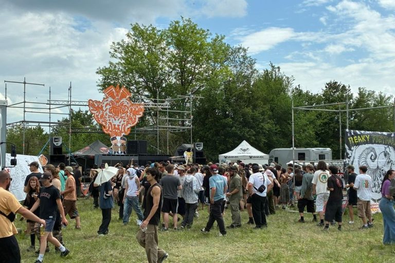 Blessés légers et gardes à vue : point sur la free party dans le Cher selon la préfecture.