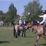 Le polocrosse cherche une reconnaissance officielle par la Fédération française d&rsquo;équitation.