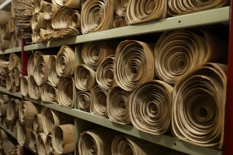 Les Archives Départementales de Côte-d&rsquo;Or : Un Voyage à Travers le Temps