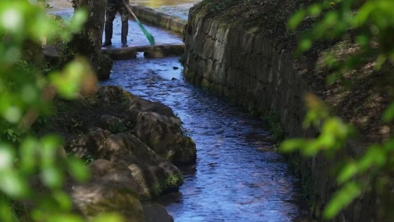 À la découverte de La Veule, le plus petit fleuve de France