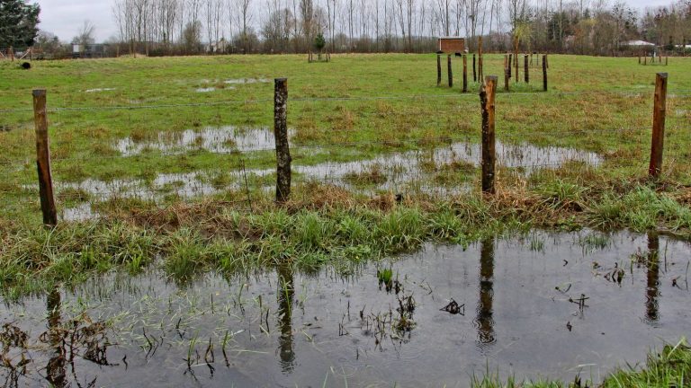 Vigilance orange pour pluie et inondation en Sarthe et Mayenne, selon Météo-France.
