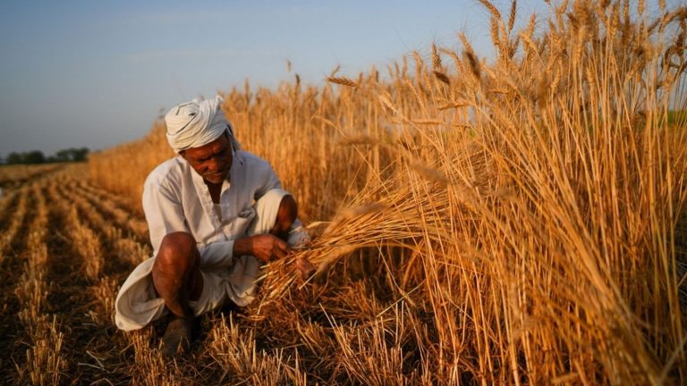 Super El Niño : des inquiétudes croissantes pour l&rsquo;Asie face aux dérèglements climatiques.