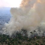 Près de deux tiers de la forêt amazonienne menacés de transformation en savane sèche, selon une étude.
