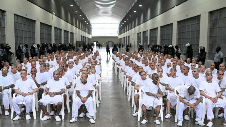 En images « C&rsquo;est du spectacle » : au Salvador, le procès collectif des membres du gang MS-13 se transforme en opération médiatique
