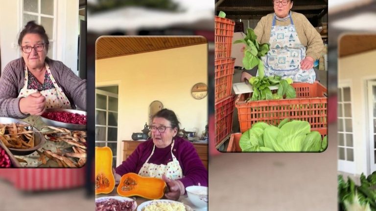 Succès d&rsquo;une maraîchère vendéenne : ses vidéos en patois préservent les origines locales.