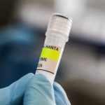 Hantavirus sur un bateau de croisière : l&rsquo;Argentine enquête sur l&rsquo;origine du virus.