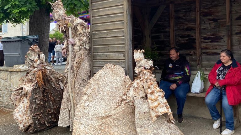 Des plants et des fleurs présentés par des horticulteurs à Mers-sur-Indre.