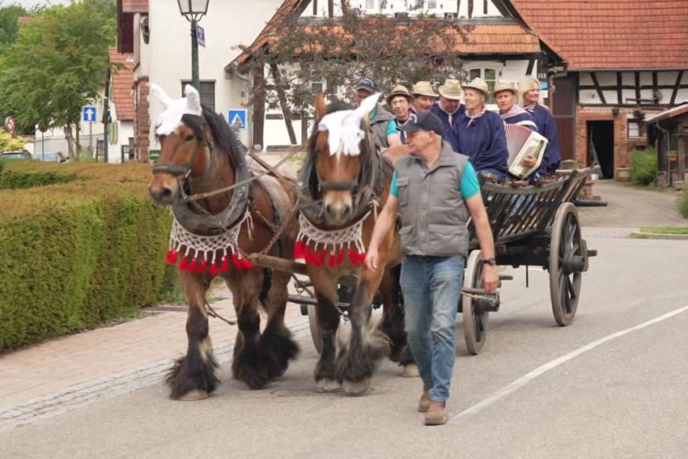 Sans éleveurs, les chevaux disparaîtraient petit à petit