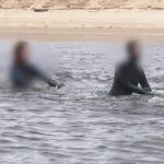 Mer agitée dans le Finistère : deux marcheurs aquatiques décèdent après des rouleaux rapprochés.