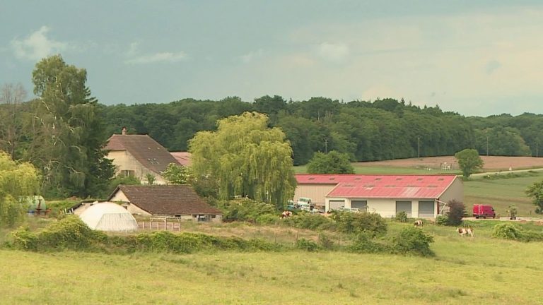 Découverte de 230 kilos de cocaïne dans une ferme du Jura par les autorités françaises