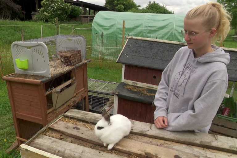 À 17 ans, Alicia Tracogna crée un refuge pour animaux abandonnés à Gaillard