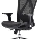 SIHOO Présente une Chaise de Bureau Ergonomique avec Appui-Tête et Accoudoirs Réglables en Maille Noire