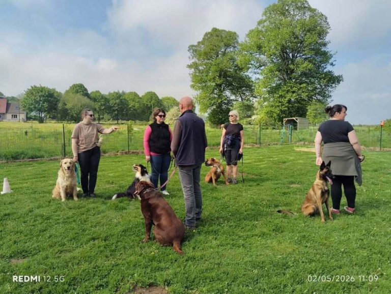 Ouverture de Canisage 80 à Moyenneville : conseils pour éduquer votre chien ce week-end.
