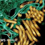 Nouvelle épidémie d&rsquo;Ebola : des dizaines de morts signalées en RDC, est du pays.
