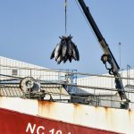 Le gouvernement français établit de nouvelles régulations pour la pêche hauturière.