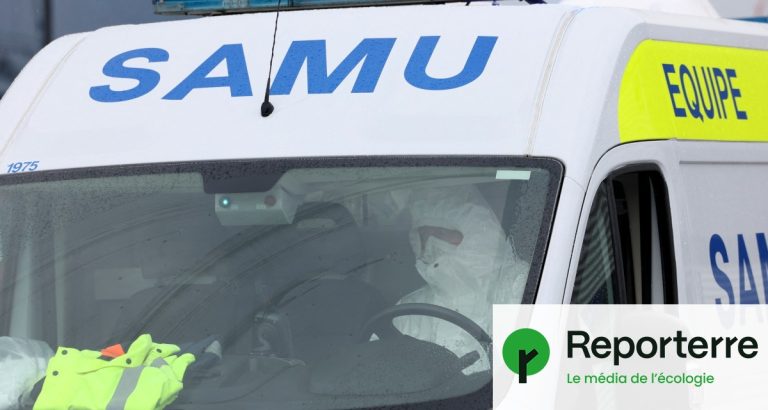 Hantavirus en France : 5 hospitalisations et 22 cas contacts identifiés
