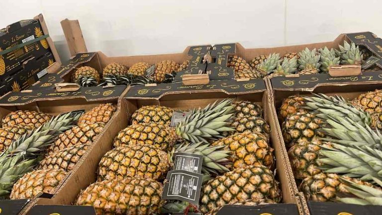 Rappel de consommateurs : Ananas Pain de Sucre Baronne retiré du marché au Bénin
