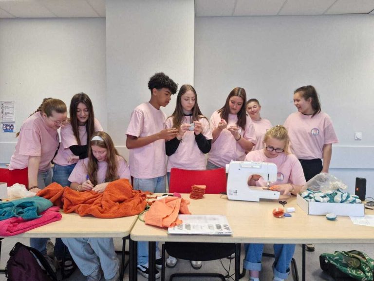 Des collégiens de Bernay fabriquent des lingettes démaquillantes réutilisables en forme de macaron.