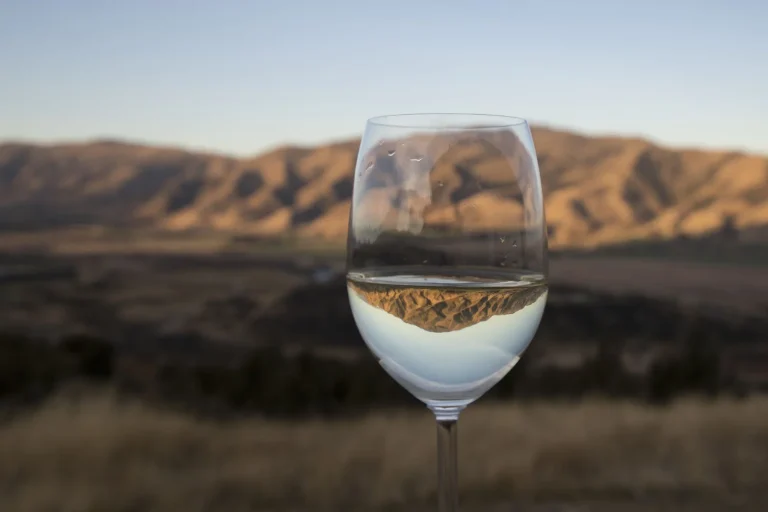 La Nouvelle-Zélande établit une feuille de route pour une viticulture durable en 2023.