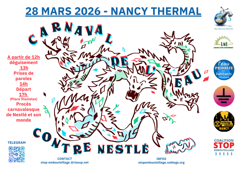 Mobilisation pour l&rsquo;Eau : Carnaval à Nancy attire des milliers de participants et d&rsquo;organisateurs.