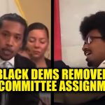 Black Democrats Retirés des Comités de la Chambre pour Protestation contre la Disenfranchisement