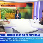 Élections municipales 2026 : la Côte d&rsquo;Azur enregistre une participation de 55 % des électeurs.