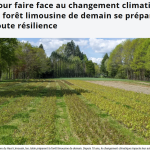 Eau et forêt : l&rsquo;Établissement Public Territorial du Bassin de la Vienne lance un nouveau programme de préservation.
