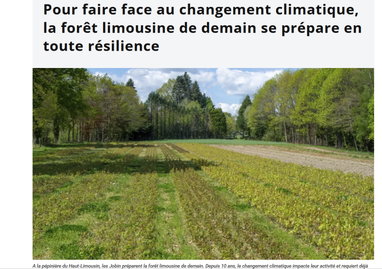Eau et forêt : l&rsquo;Établissement Public Territorial du Bassin de la Vienne lance un nouveau programme de préservation.