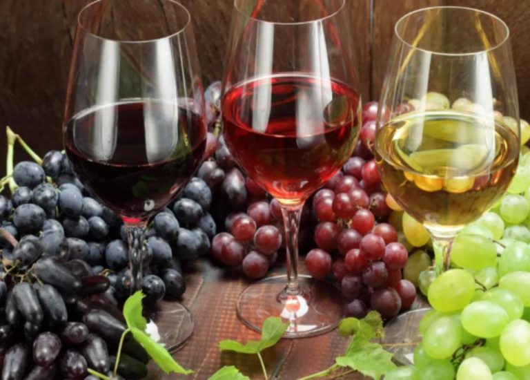 Art & Vin 2026 : Les vignerons indépendants interrogent l&rsquo;avenir de l&rsquo;œnotourisme en France.