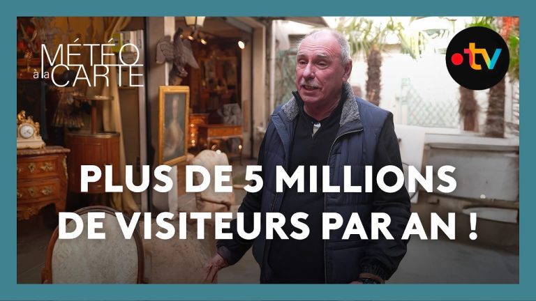 Comment chiner de bonnes affaires en brocante en France : conseils pratiques et météo adaptée