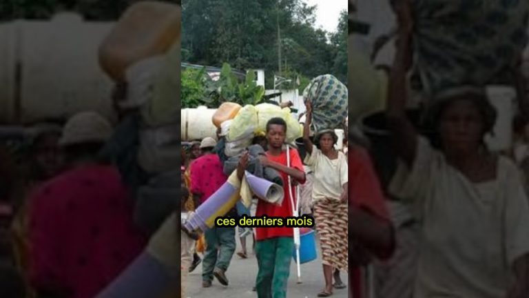 Déplacement de Maliens en raison de l'insécurité dans le centre du pays, selon l'ONU.