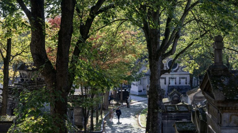 Au Père-Lachaise, une politique écologique favorise la biodiversité locale.